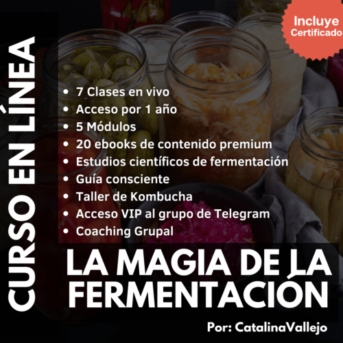 Curso Online: La Magia de la Fermentación