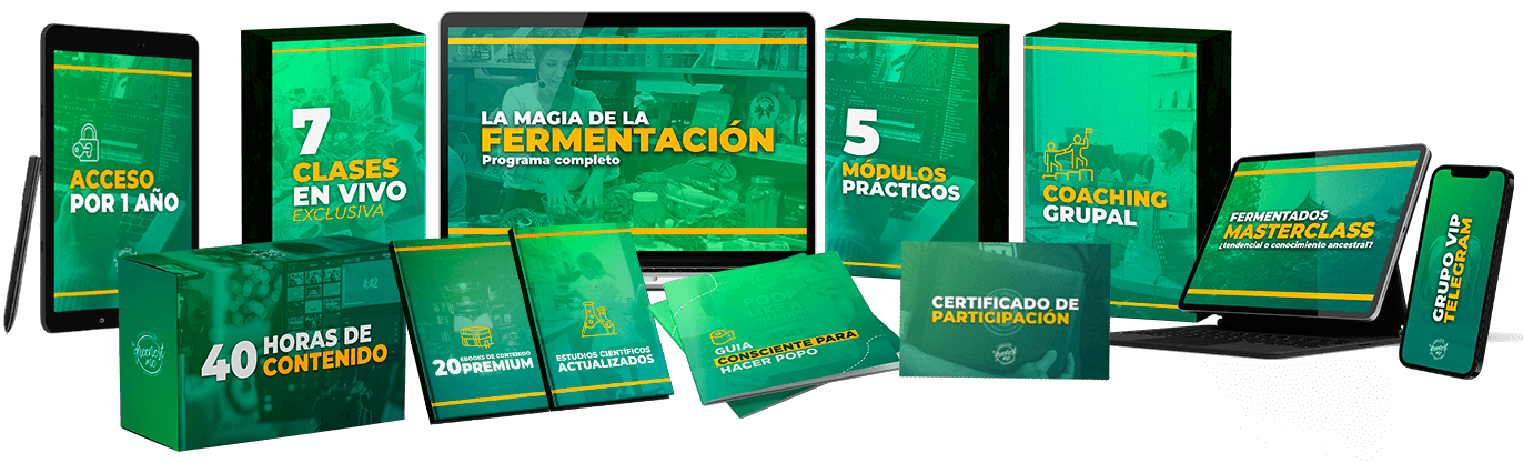 Curso Online: La Magia de la Fermentación