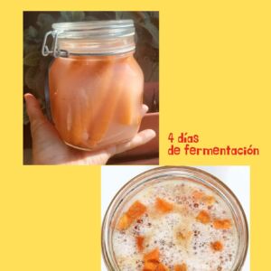 Zanahorias fermentadas – receta